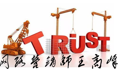 王高峰师自述 网络文化经营之路，四川网络营销师的挑战与突围