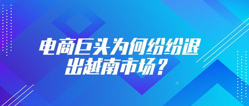 电商巨头折戟越南 从乐天退市看外来者的本土化困境